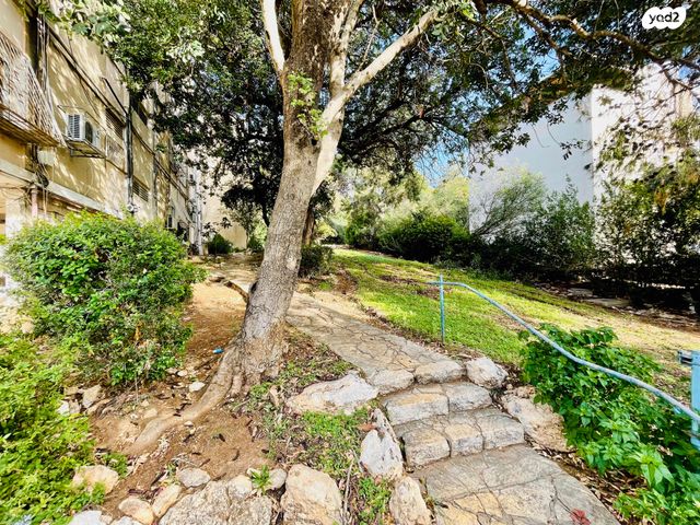 דירה, דרייפוס 3, קרית שפרינצק, חיפה