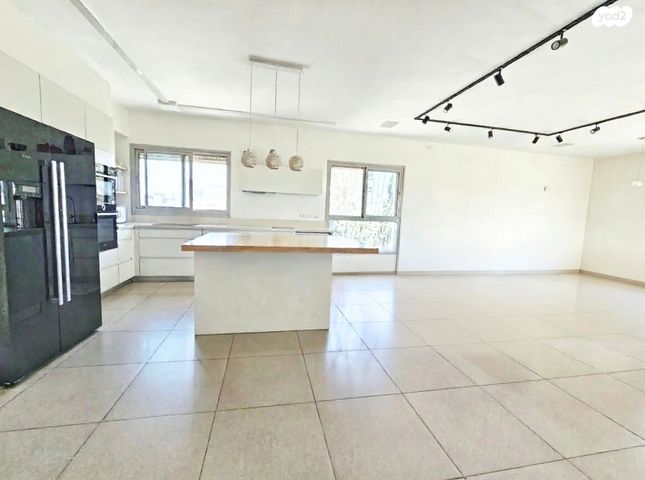 גג/ פנטהאוז, בן גוריון, מרכז, כפר סבא