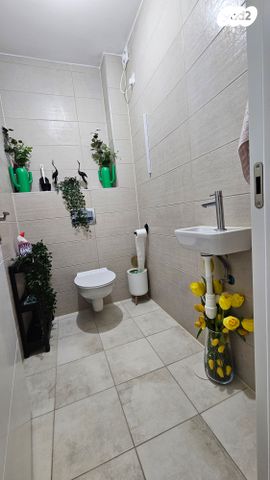 דירה, חורשת נח, אופקים