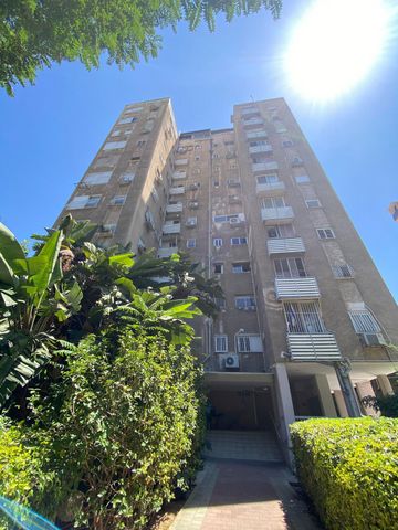 עליית הנוער 14