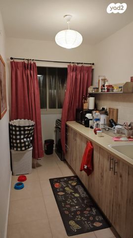 יצחק בן צבי 