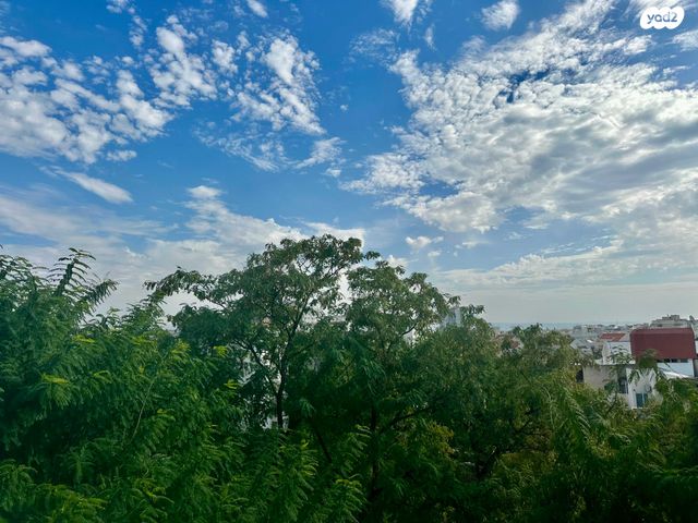 דירה, כפר סבא