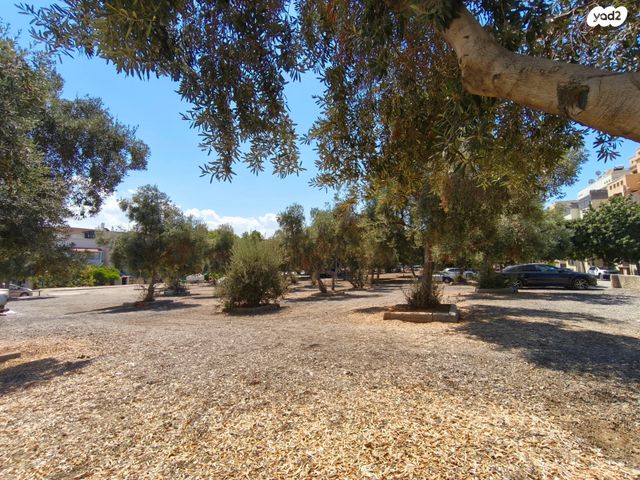 דירה, דונולו הרופא, תל אביב יפו