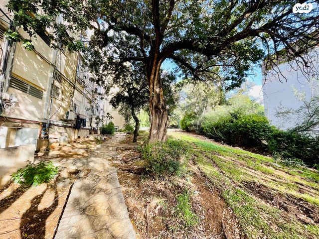 דירה, דרייפוס 3, קרית שפרינצק, חיפה