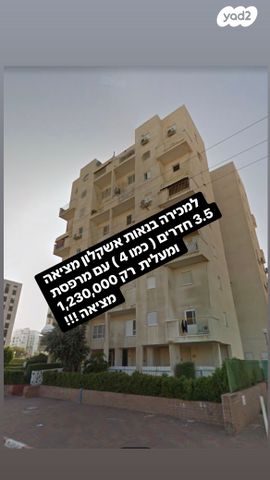 אריה 