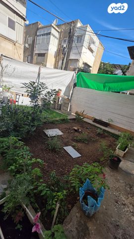 דירה, הרצל, יל"ג, חיפה