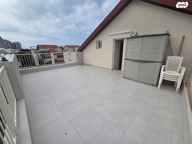 אירוס הארגמן 