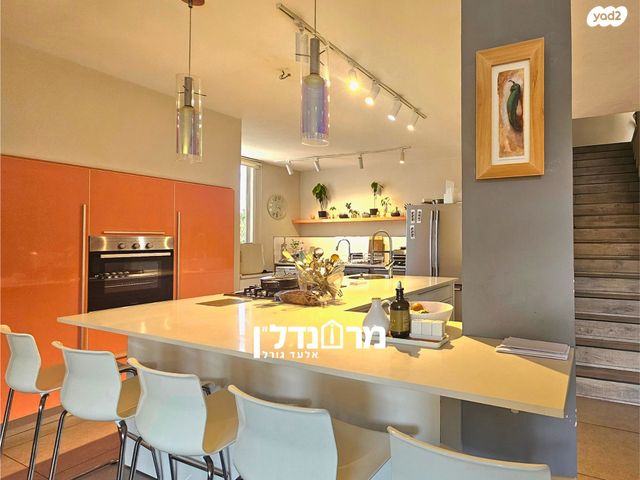 גג/ פנטהאוז, מרכז, הרצליה