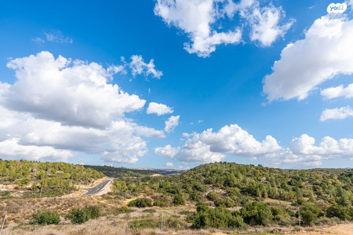 דירה, רעות, חריש