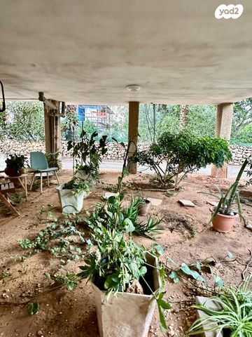 דירה, המניין הראשון, עמידר, נס ציונה