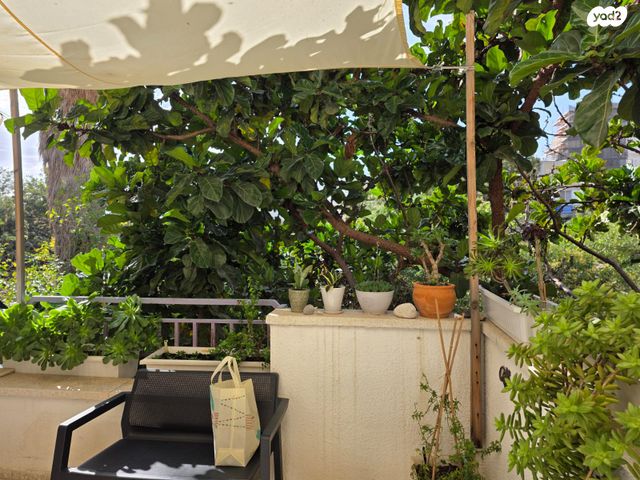 א' / צפון מזרח העיר