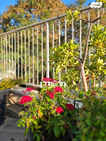 גג/ פנטהאוז, מרכז, הרצליה