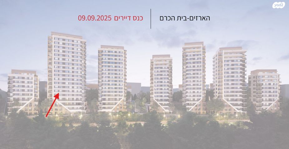 הארזים 