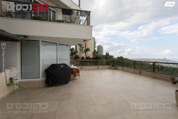 דירת גן, חיפה