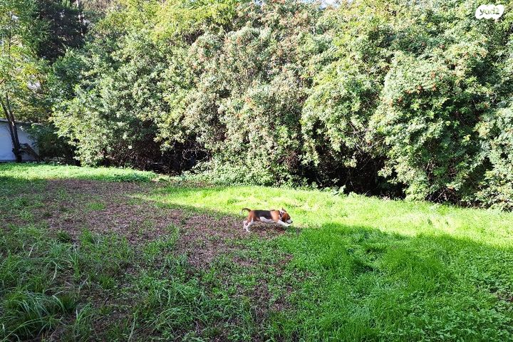 בית פרטי/ קוטג', בארותיים
