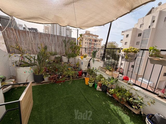 משה שפירא 