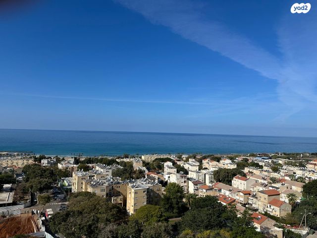 דירה, המלך שלמה, נווה דוד, חיפה