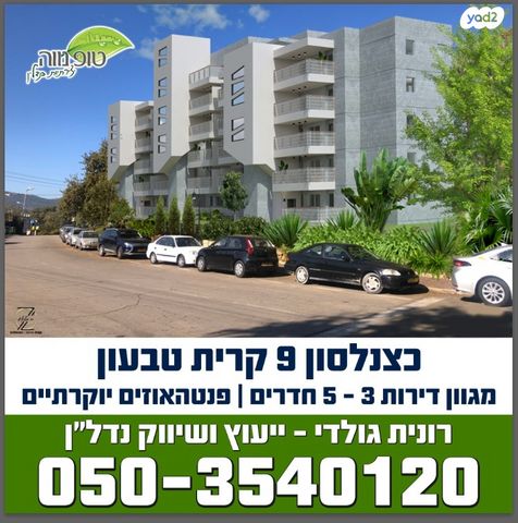 דירת גן, כצנלסון, קרית עמל, קרית טבעון