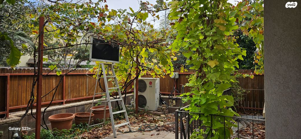 דירת גן, רביבים, תל אביב יפו