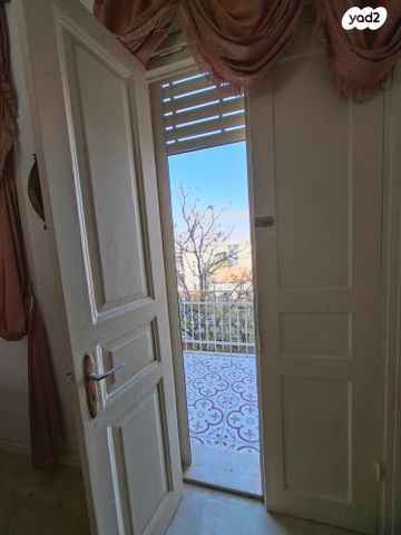 דירת גן, העיר התחתית, ואדי סאליב, חיפה