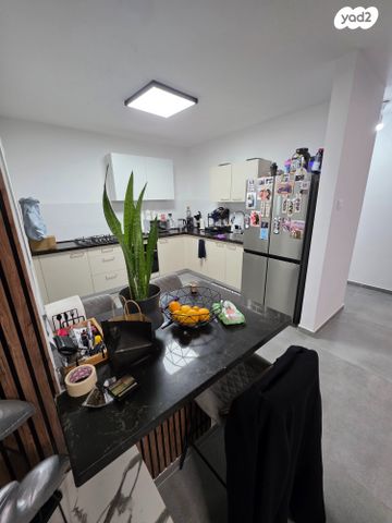 גג/ פנטהאוז, אופקים