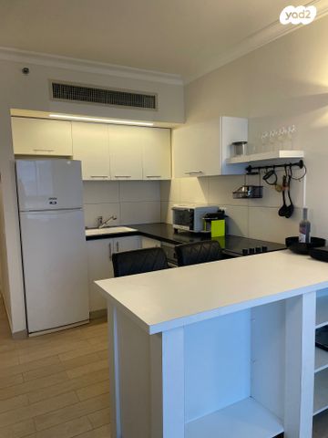 דוד אלעזר 10