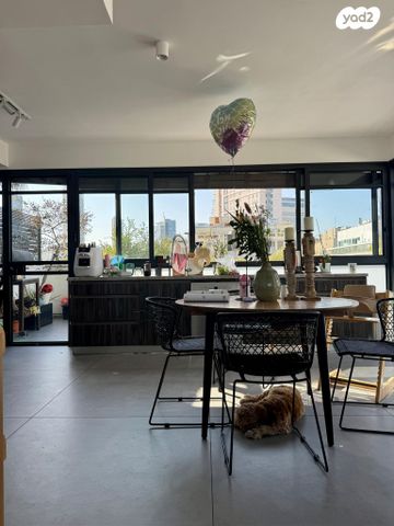 גג/ פנטהאוז, שיינקין, תל אביב יפו