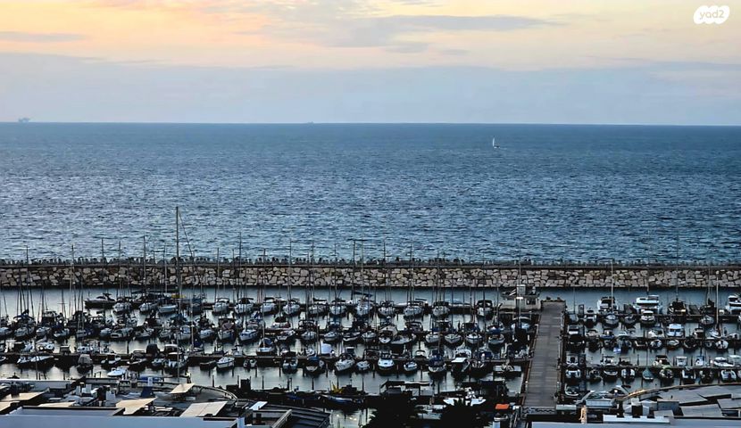 דירה, משה דיין, אפרידר, אשקלון