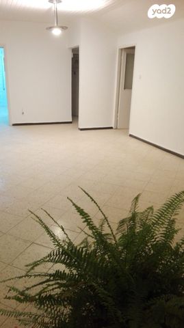 יוסף שפרינצק 