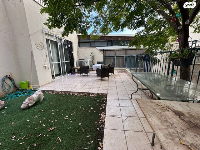 אלישע הנביא 