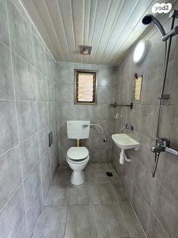 דירה, לוד, שוק תלפיות, חיפה