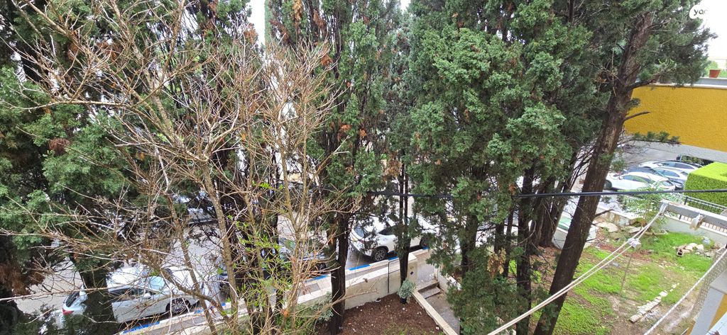 דירה, אחוזה, חיפה