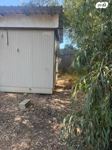 משרדים, ניצני עוז