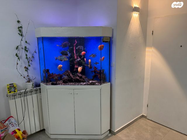 תמונת מודעה - חיות מחמד