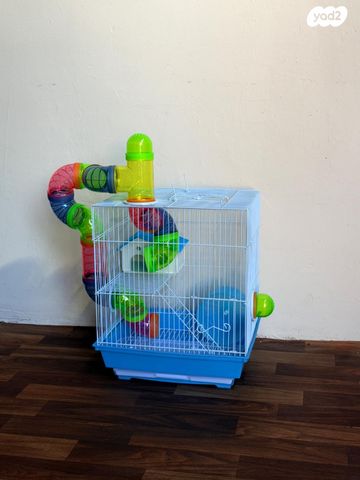 תמונת מודעה - חיות מחמד