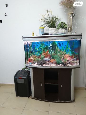 תמונת מודעה - חיות מחמד