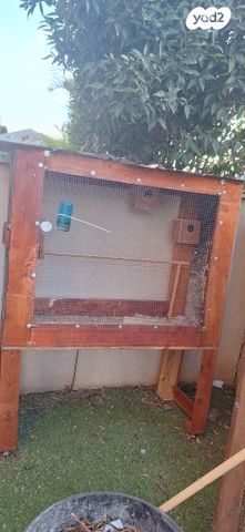 תמונת מודעה - חיות מחמד