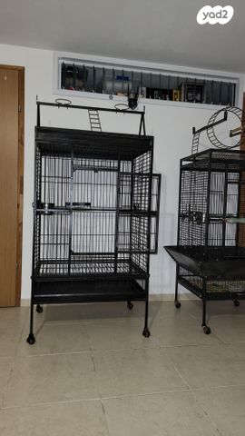 תמונת מודעה - חיות מחמד