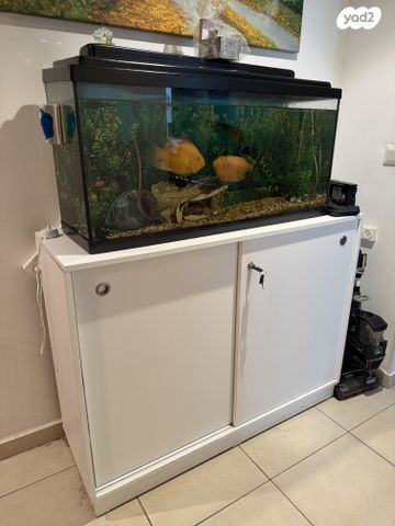 אביזרים | אקווריום