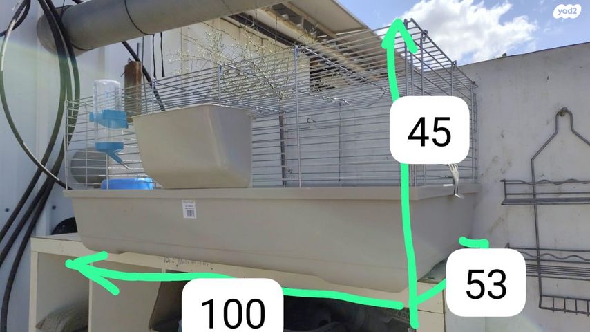 מכרסם ארנב ננסי