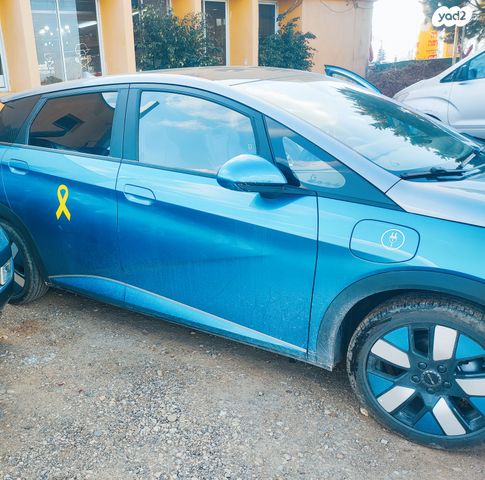 בי.ווי.די דולפין