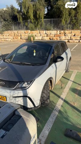 בי.ווי.די דולפין