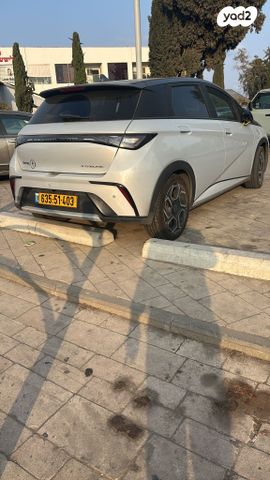 בי.ווי.די דולפין