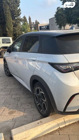 בי.ווי.די דולפין