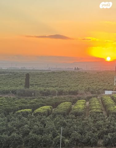 דירה, שושנה דמארי 3, יפה נוף, כפר יונה