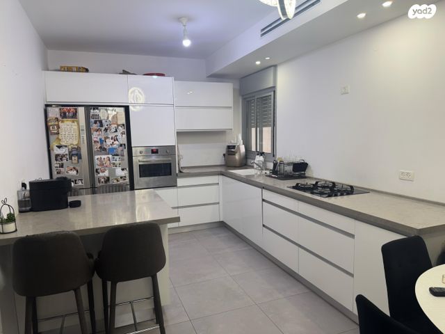 אפרים שריר 31