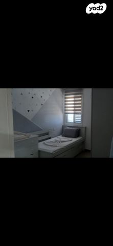 זלמן שניאור 29