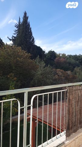 דירה, הצפצפה 3, צמח השדה, מעלה אדומים