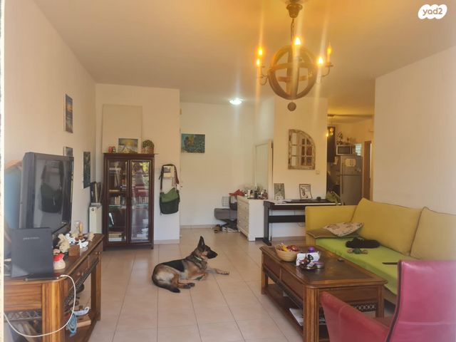 דירה, כתריאל טחורש 7, בית הכרם, רמת בית הכרם, ירושלים