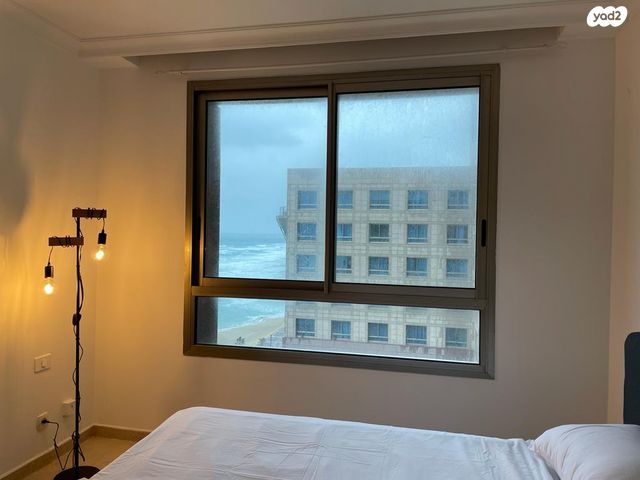 דוד אלעזר 10